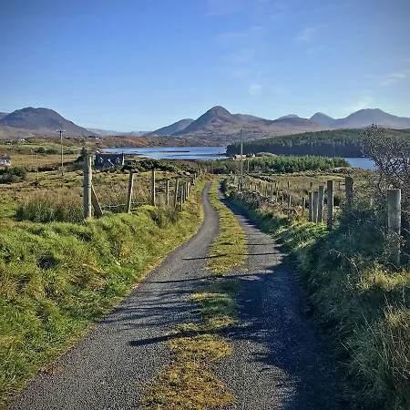 265 - * Letterfrack